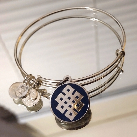Alex And Ani Endless Knot 2014 Bangle - Picture 5 of 5